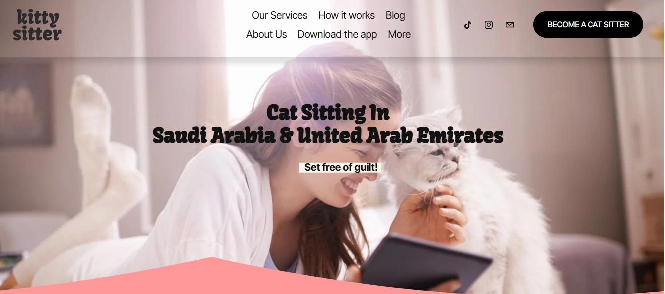 Kitty Sitter - Case Study